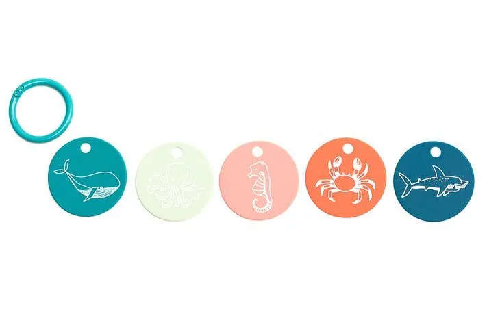 Bella Tunno Under The Sea Teething Flashcard Set