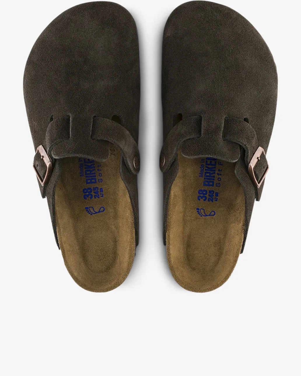 BOSTON SFB - MOCCA