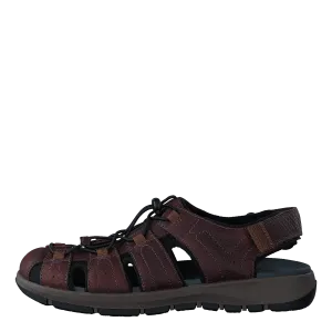 Brixby Cove Dark Brown Lea