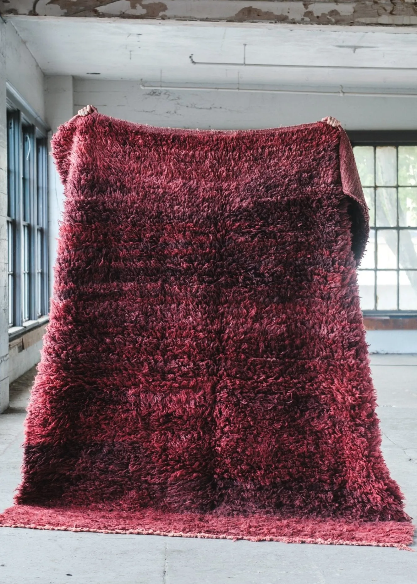 Burgundy Bby Area Rug