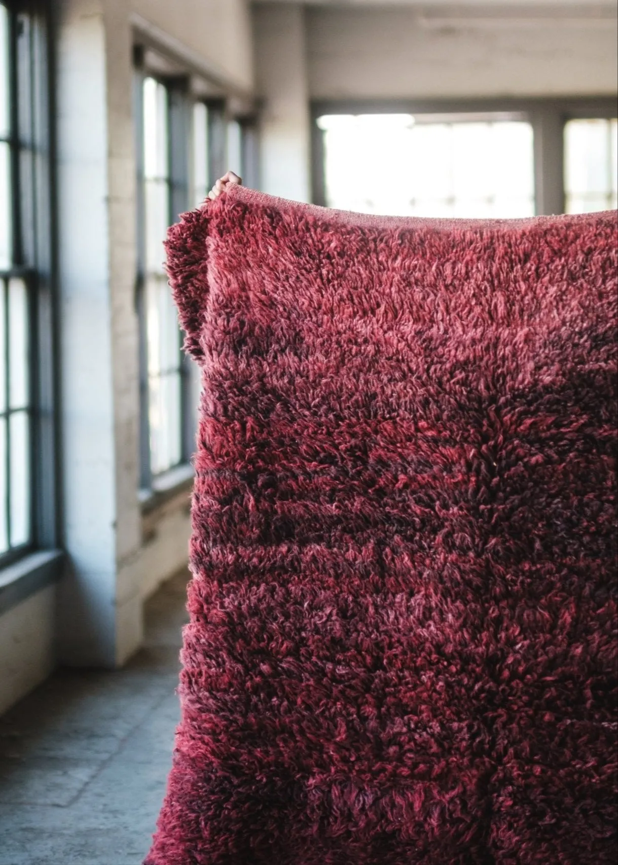Burgundy Bby Area Rug