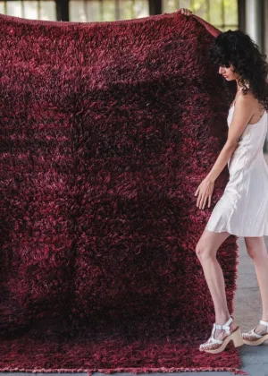 Burgundy Bby Area Rug
