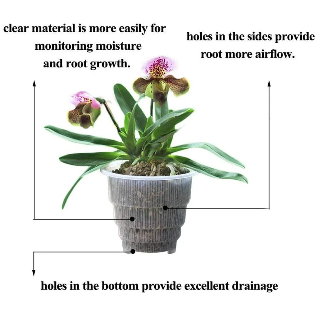 Clear Orchid Cone Pot, 5 Pack