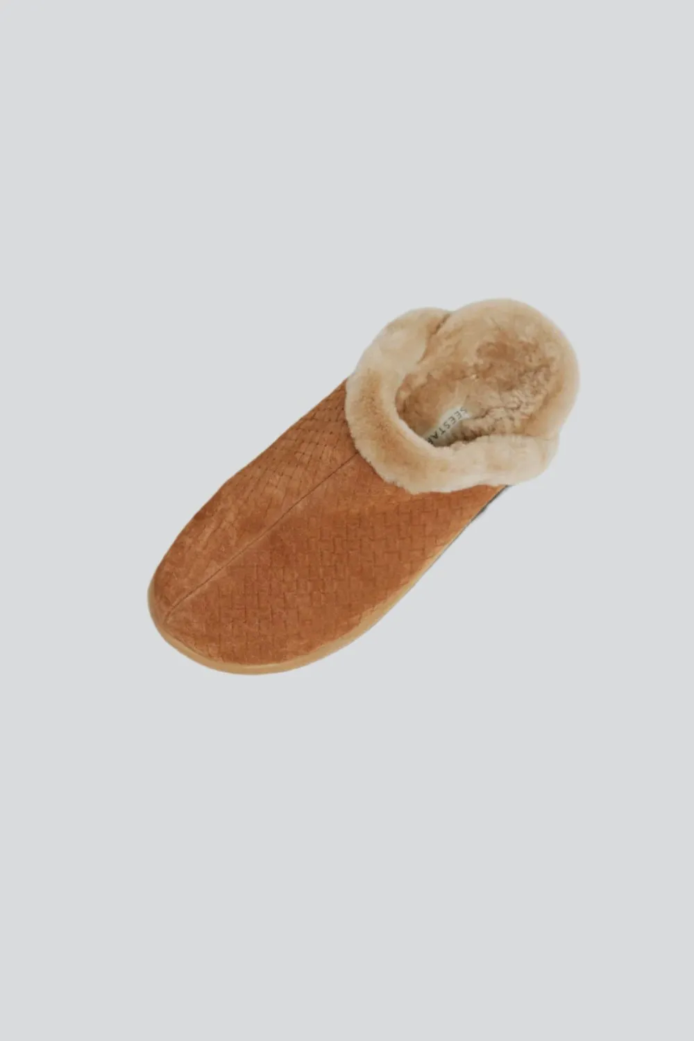 DNA No.21 Camel Mules