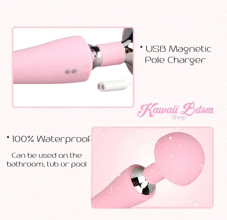 Double Wand Vibrator