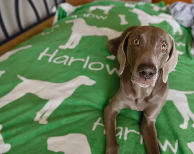 Lots of Breeds - Personalized Dog Blanket