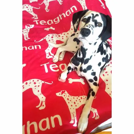 Lots of Breeds - Personalized Dog Blanket
