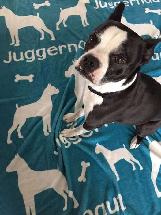 Lots of Breeds - Personalized Dog Blanket