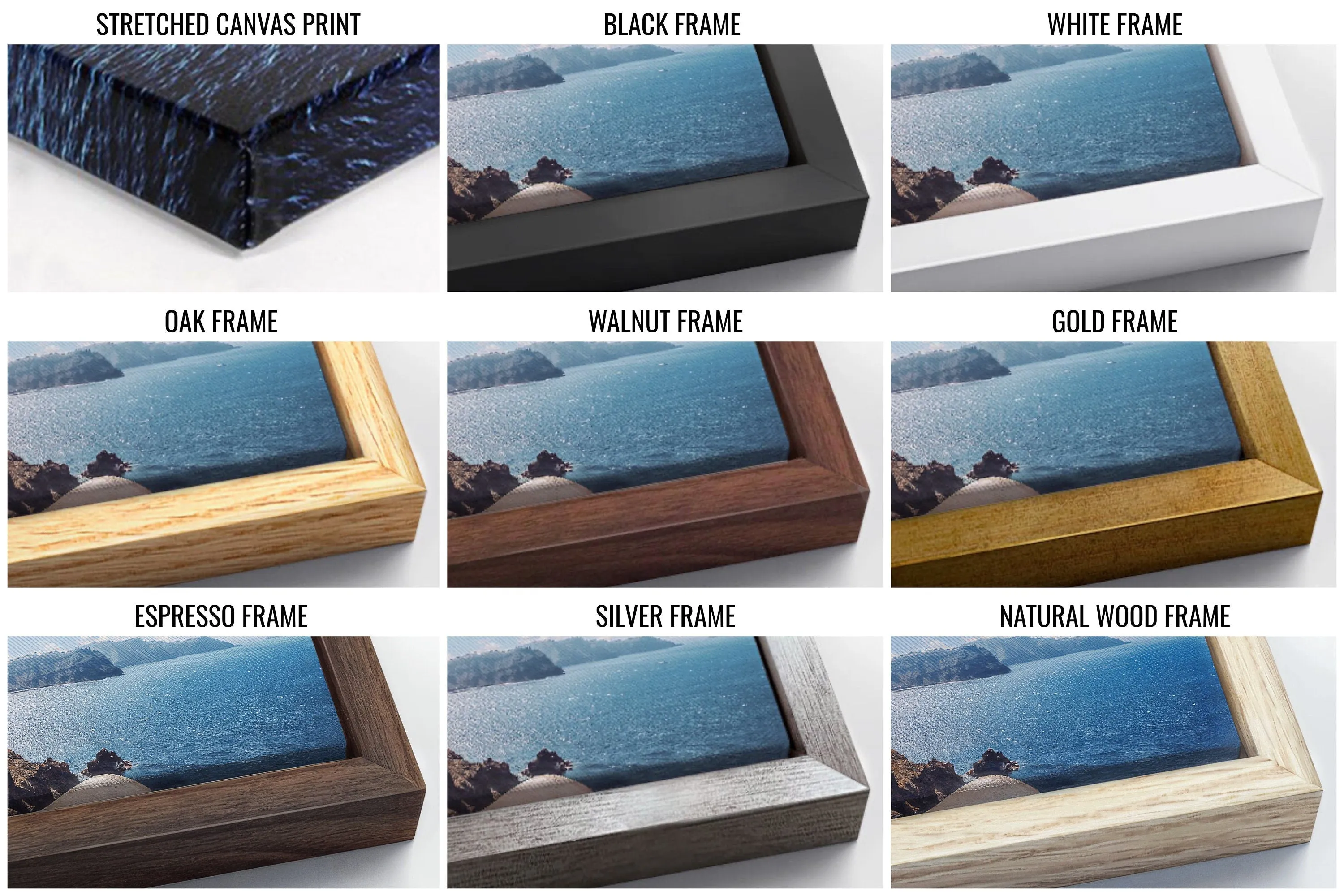 Malibu Coast Framed Canvas Wall Art