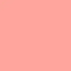 Mint   Rose • Homebody Lip Balm