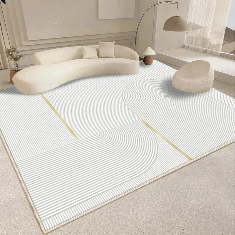 Modern  Abstract Plush Rug