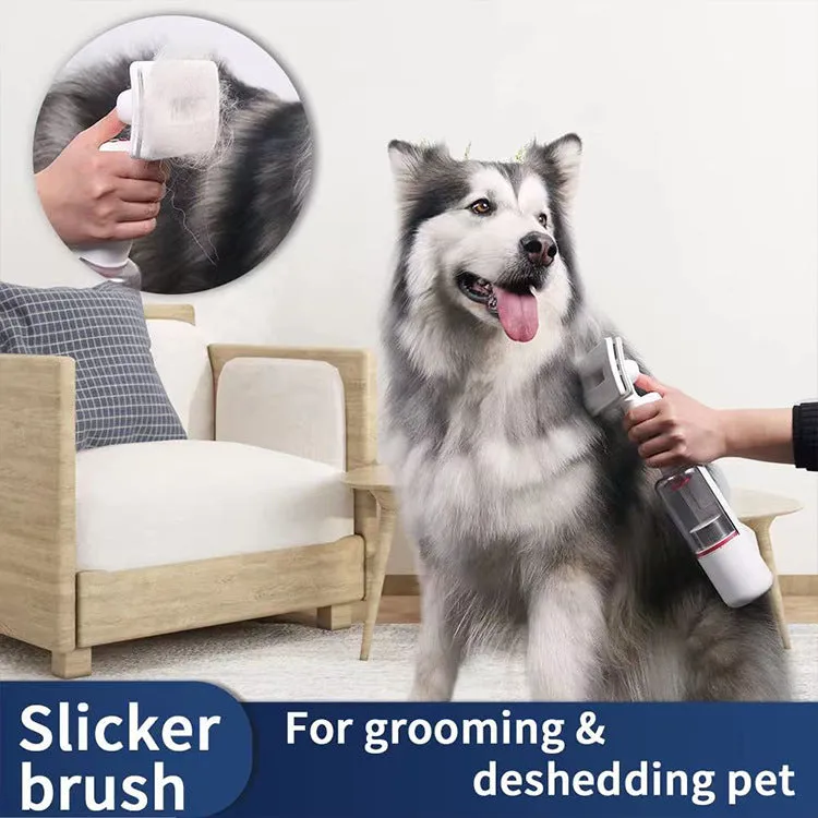 Pet Cordless Vacuum Cleaner Hair Removal Absorption