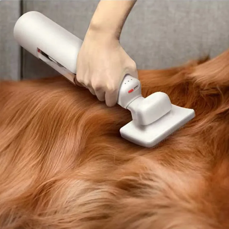 Pet Cordless Vacuum Cleaner Hair Removal Absorption