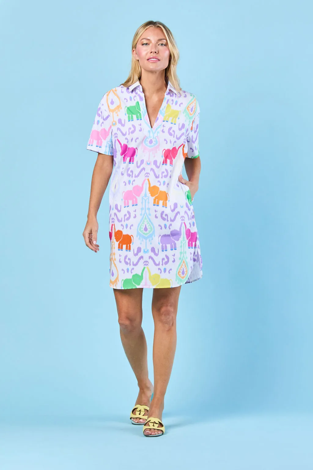 Rhodes Dress in Confetti Trunk Show