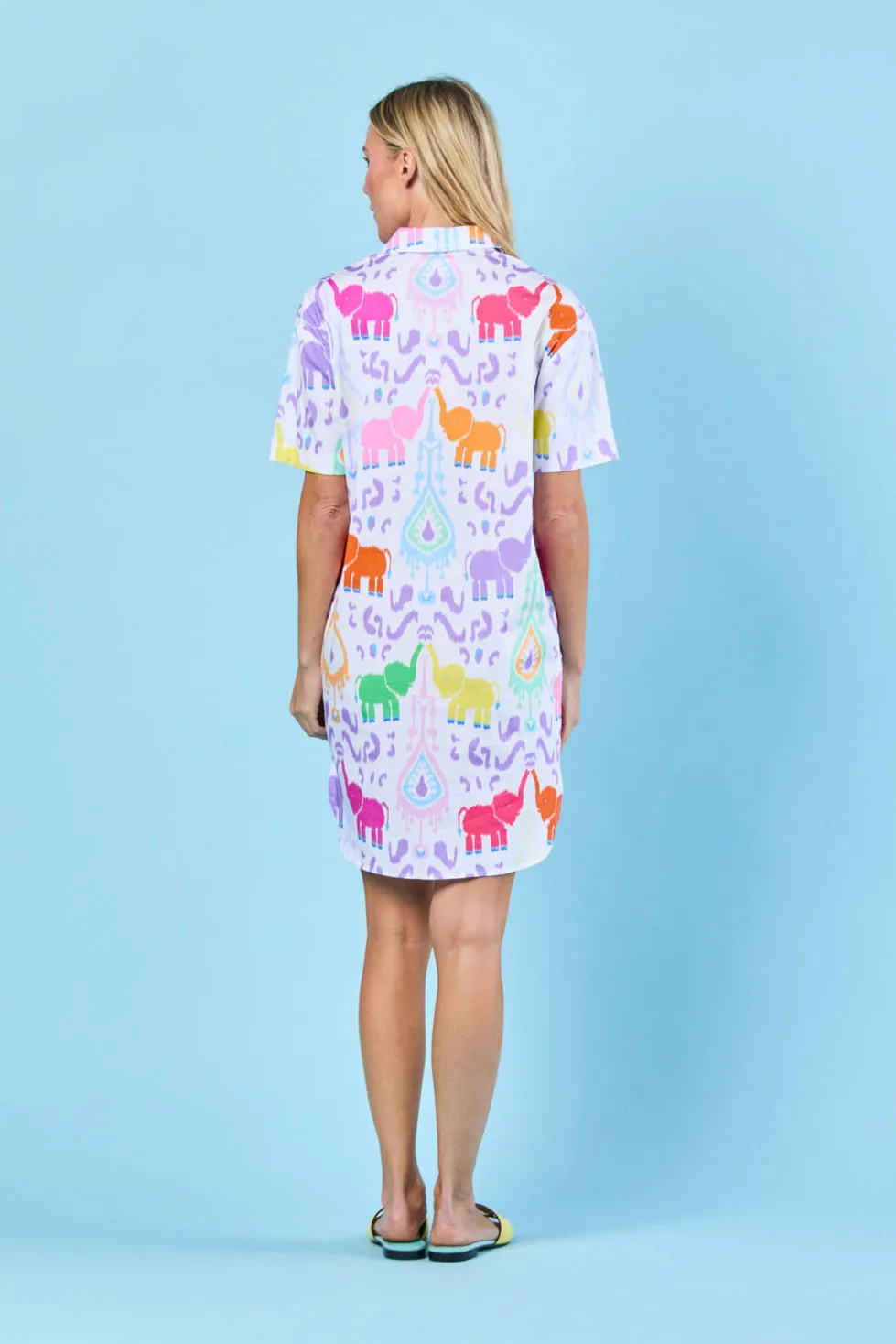 Rhodes Dress in Confetti Trunk Show