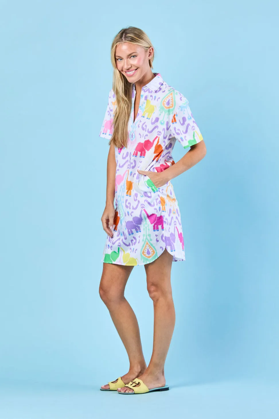 Rhodes Dress in Confetti Trunk Show