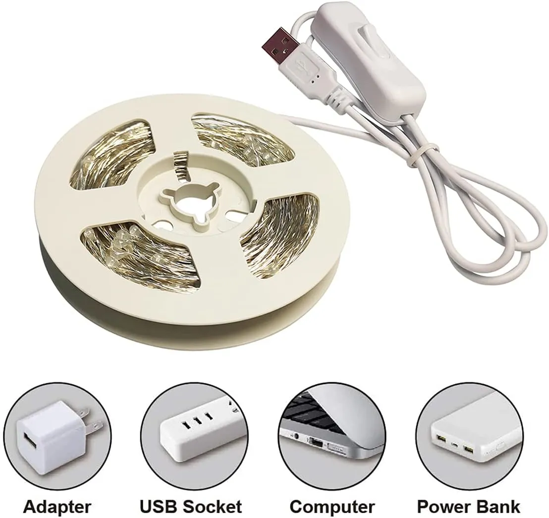 Silver Wire 33 Foot 100 LED USB Fairy String Lights with On/Off Switch