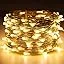 Silver Wire 33 Foot 100 LED USB Fairy String Lights with On/Off Switch