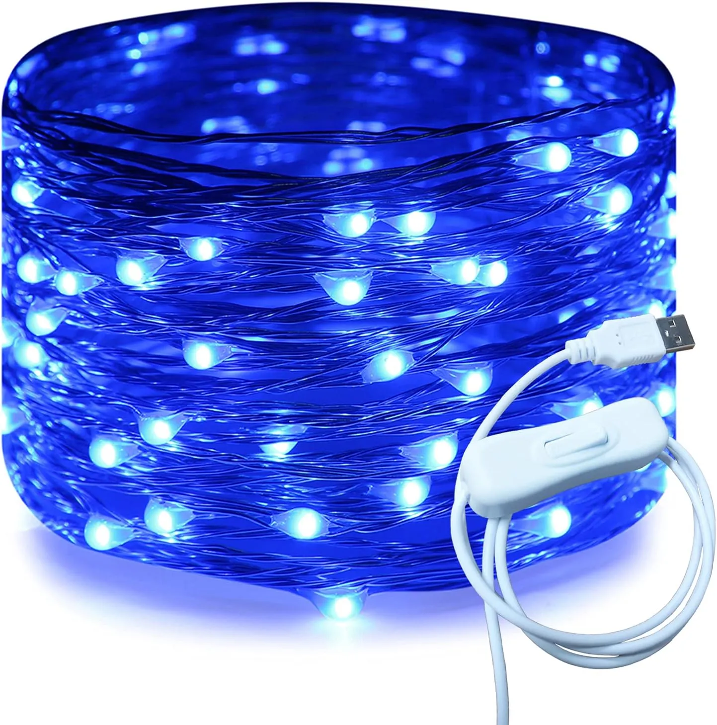 Silver Wire 33 Foot 100 LED USB Fairy String Lights with On/Off Switch
