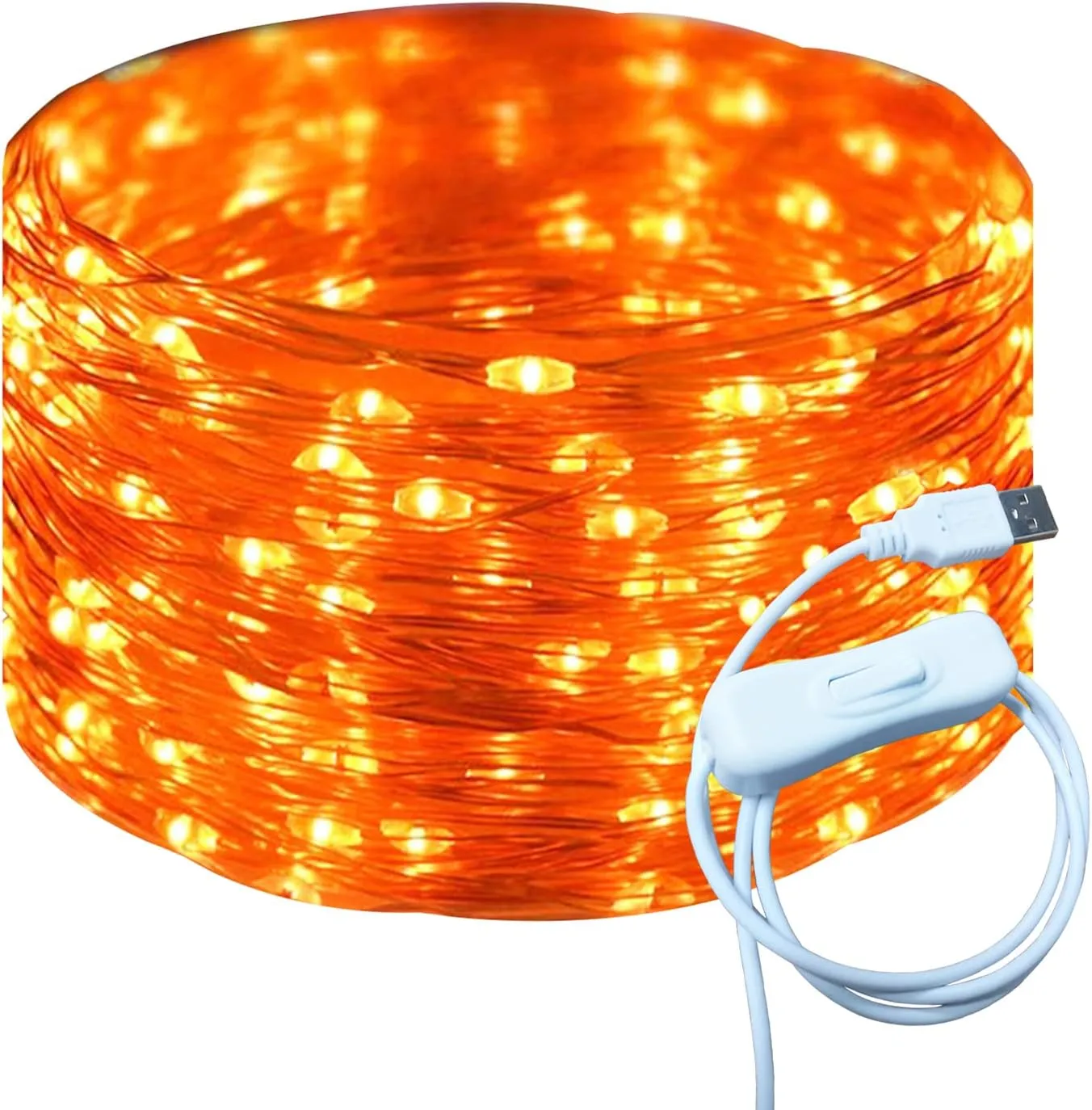 Silver Wire 33 Foot 100 LED USB Fairy String Lights with On/Off Switch