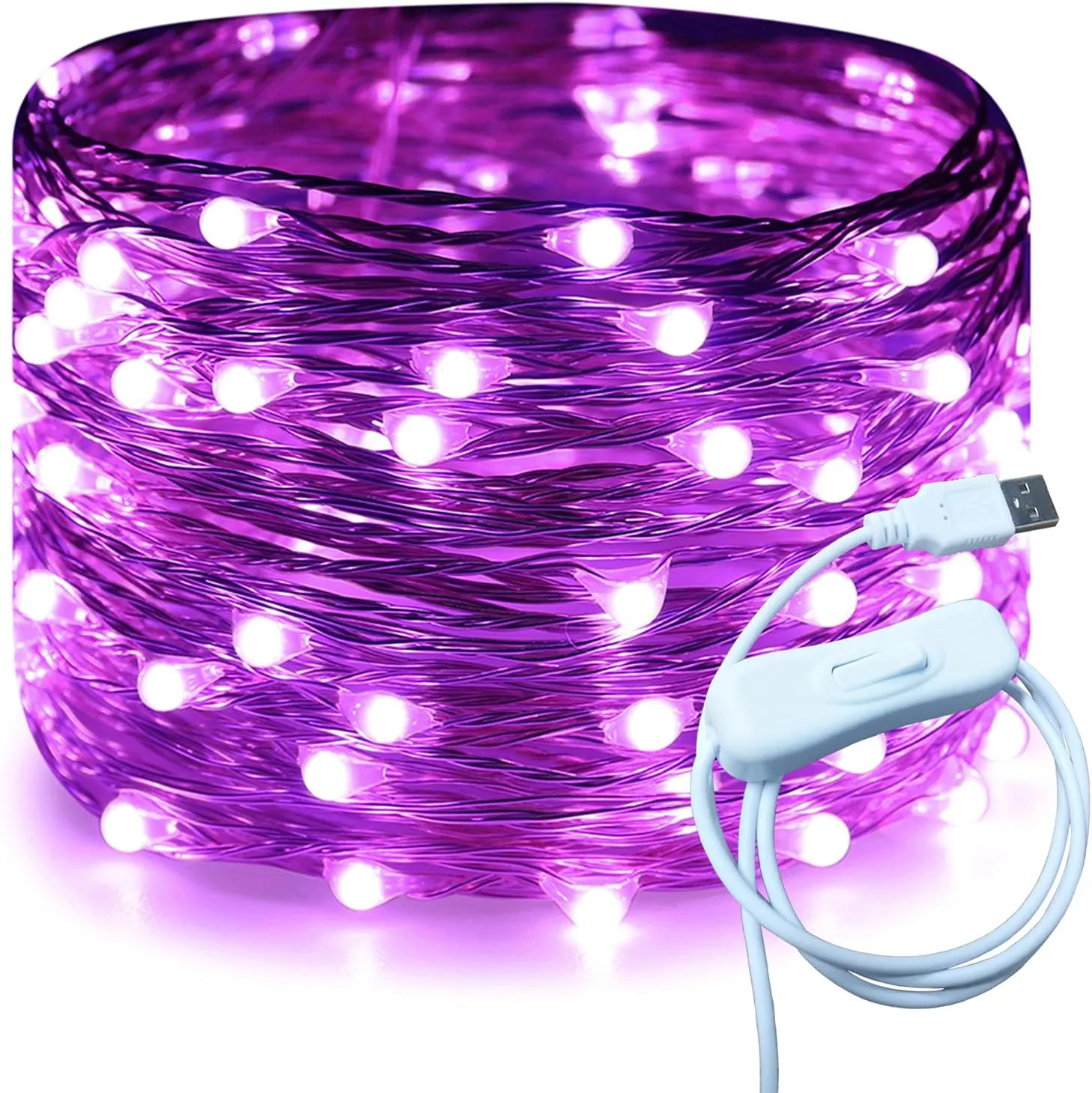 Silver Wire 33 Foot 100 LED USB Fairy String Lights with On/Off Switch