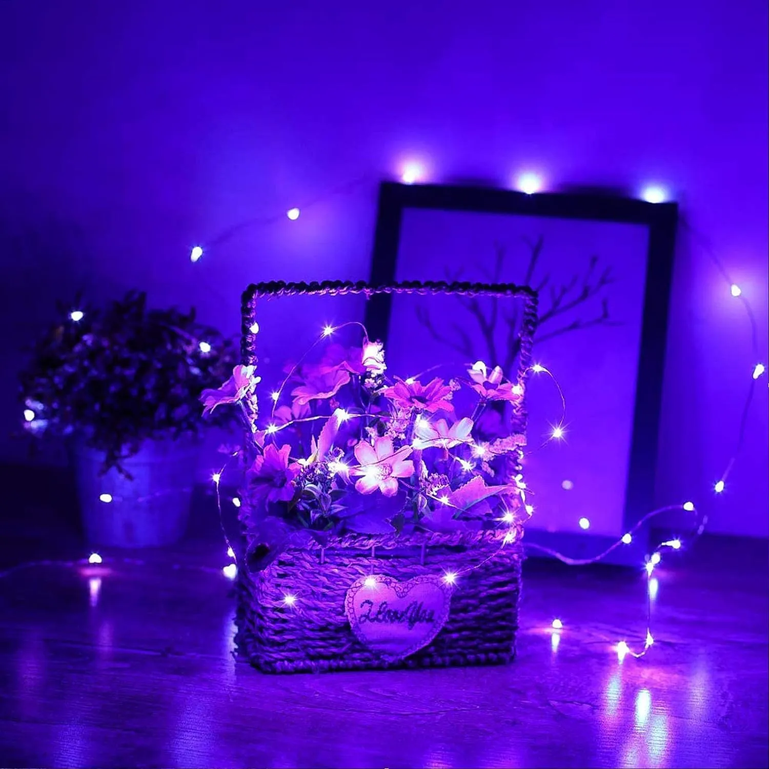Silver Wire 33 Foot 100 LED USB Fairy String Lights with On/Off Switch