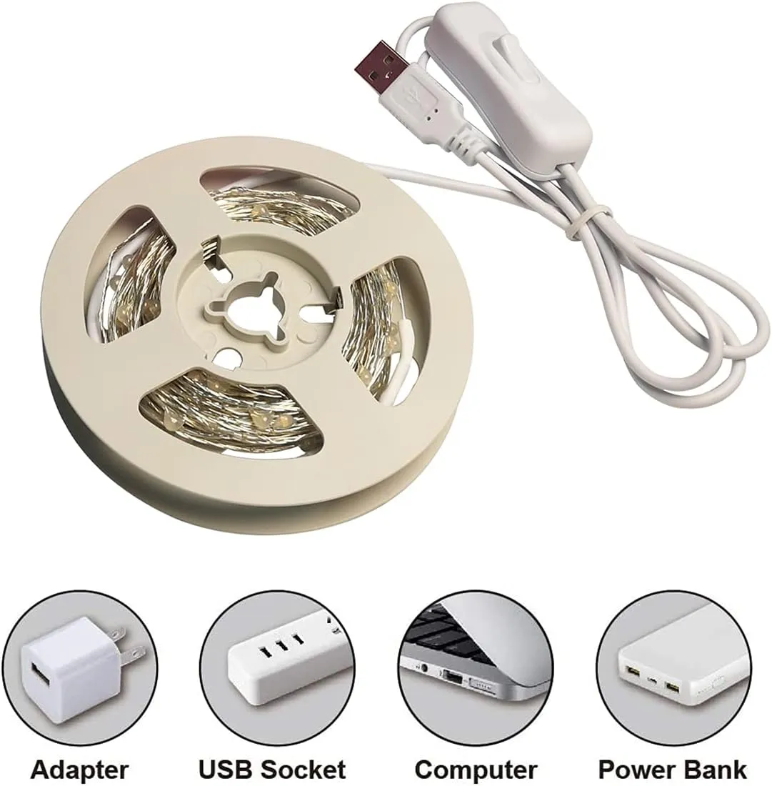 Silver Wire 33 Foot 100 LED USB Fairy String Lights with On/Off Switch