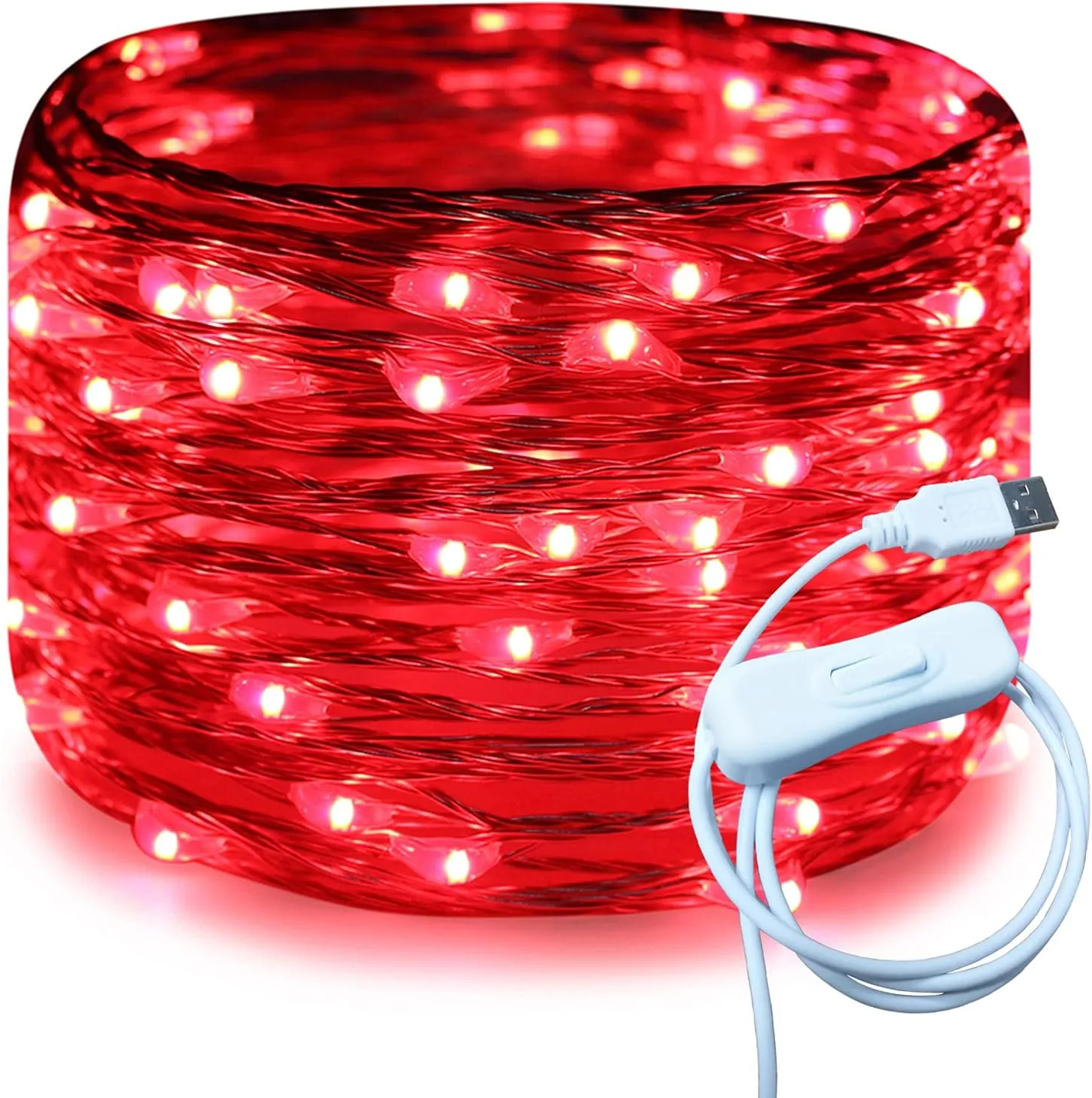 Silver Wire 33 Foot 100 LED USB Fairy String Lights with On/Off Switch