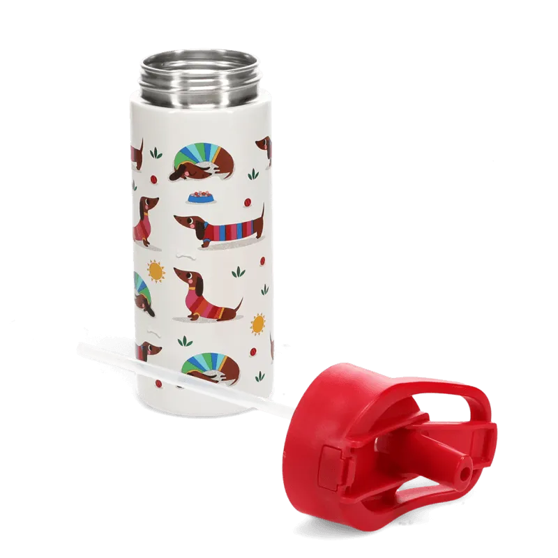 Stainless Steel Kids Water Bottle 500ml - Sunny Sausage Dog