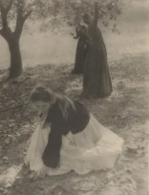 The Orchard