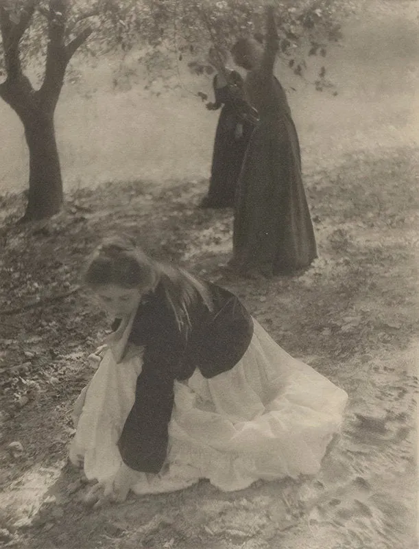 The Orchard