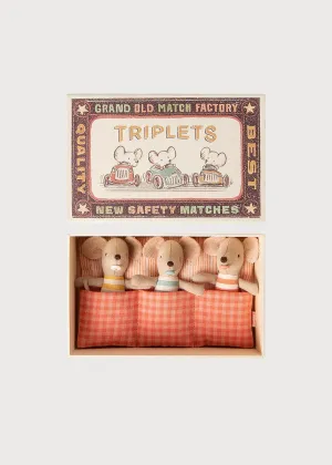 Triplet Baby Mice in a Matchbox