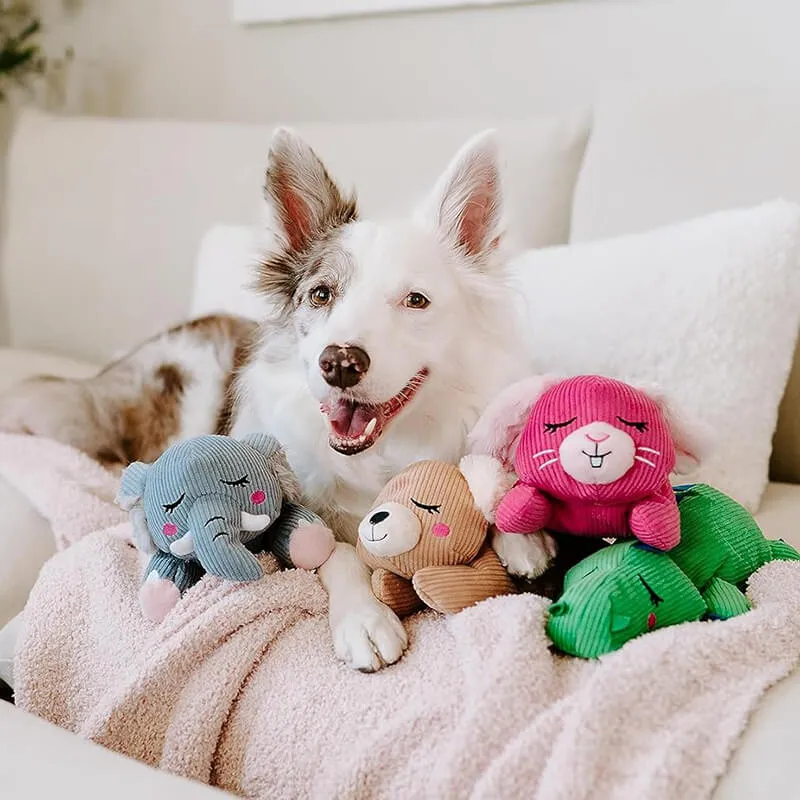 Zippy Paws Snooziez Bear with Shhqueaker